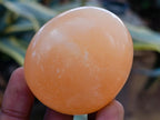 Polished Orange Twist Calcite Palm Stone Bouquet Basket of 8 Pieces x 1 From Madagascar