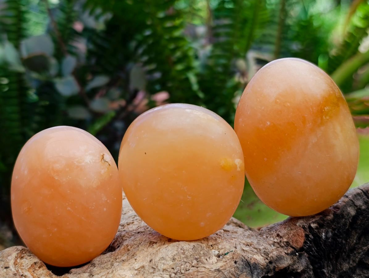 Polished Orange Twist Calcite Palm Stone Bouquet Basket of 8 Pieces x 1 From Madagascar