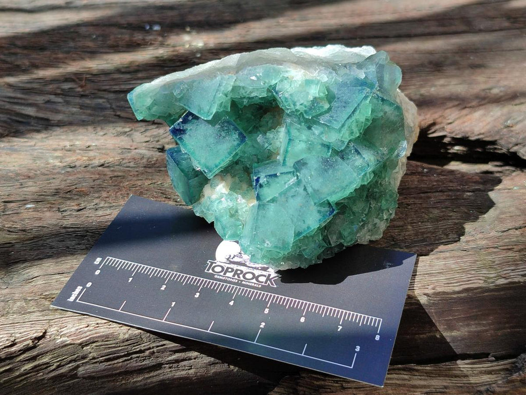 Natural Cubic Fluorite Specimen x 1 From Mandrosonoro Madagascar