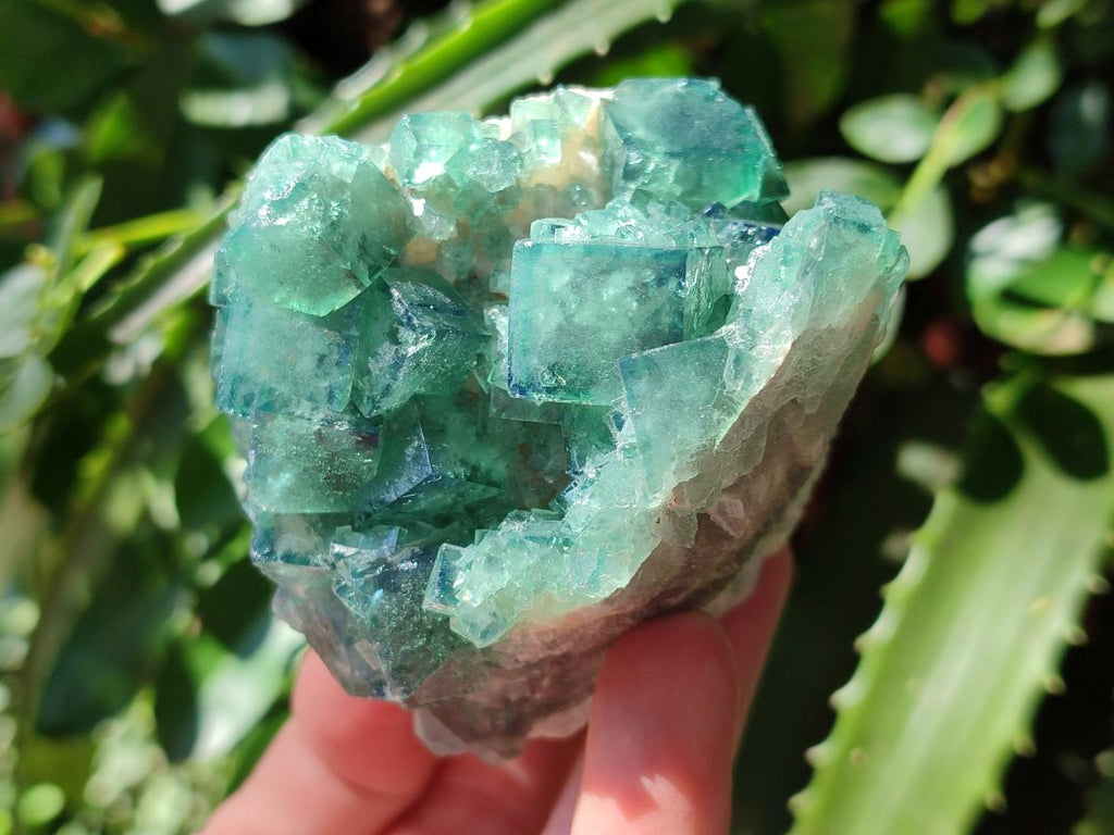 Natural Cubic Fluorite Specimen x 1 From Mandrosonoro Madagascar