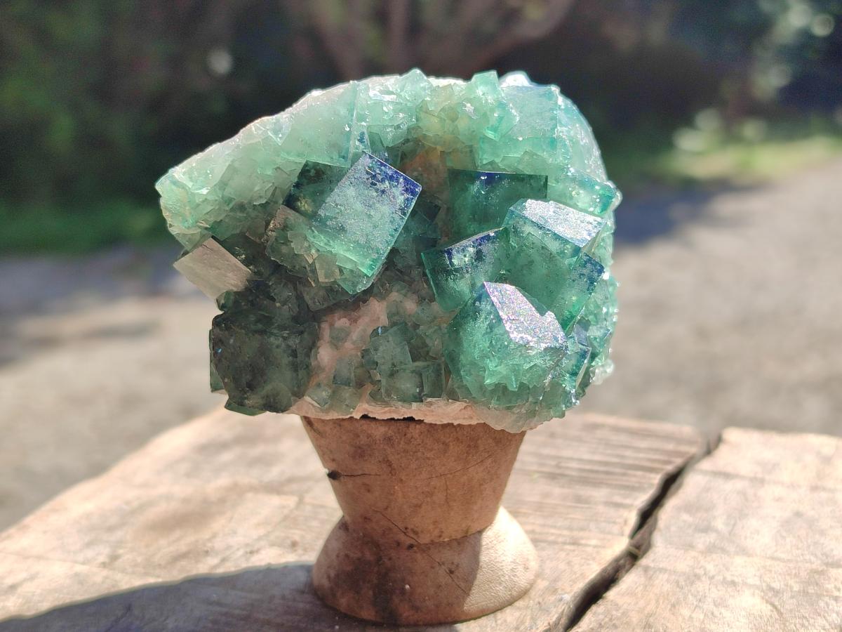 Natural Cubic Fluorite Specimen x 1 From Mandrosonoro Madagascar