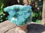 Natural Cubic Fluorite Specimen x 1 From Mandrosonoro Madagascar
