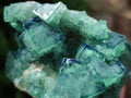 Natural Cubic Fluorite Specimen x 1 From Mandrosonoro Madagascar