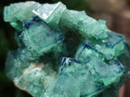 Natural Cubic Fluorite Specimen x 1 From Mandrosonoro Madagascar