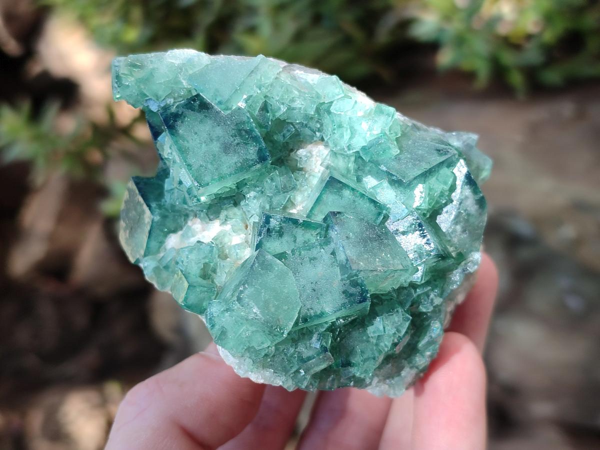 Natural Cubic Fluorite Specimen x 1 From Mandrosonoro Madagascar