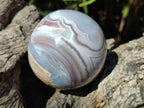 Polished Banded Shashe River Agate Sphere x 1 From Shashe River, Zimbabwe
