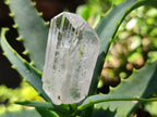 Natural Silver Topaz Twin Crystal x 1 From Spitzkop Namibia