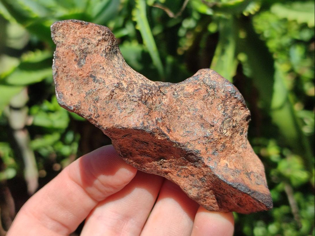 Natural Gideon Meteorite Specimen x 1 From Gibeon Namibia