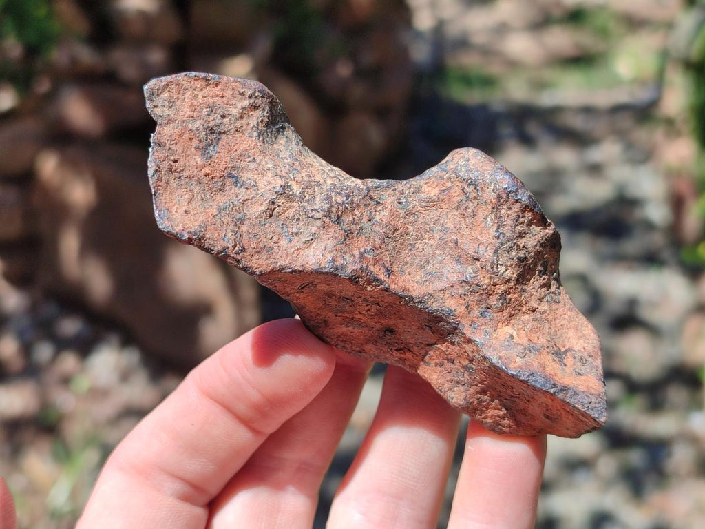 Natural Rare Gibeon Meteorite Specimen x 1 From Gibeon Namibia