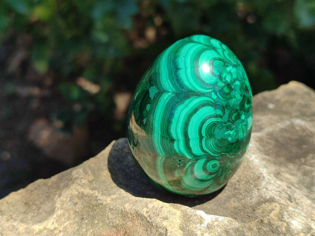 Polished Flower Banded Malachite Egg x 1 From Congo