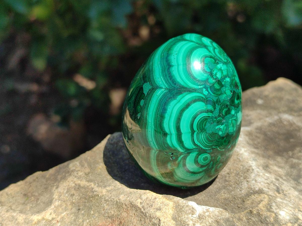 Polished Flower Banded Malachite Egg x 1 From Congo