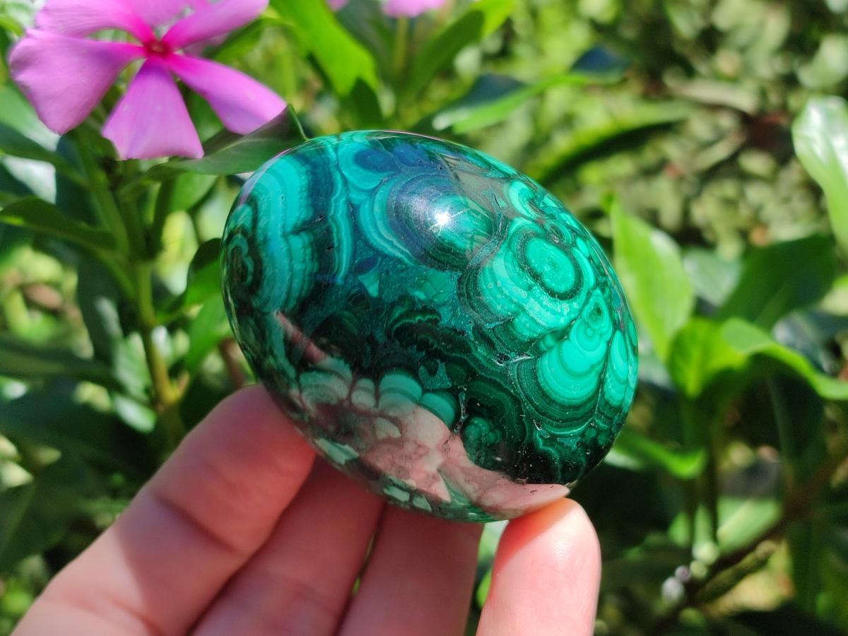 Polished Flower Banded Malachite Egg x 1 From Congo