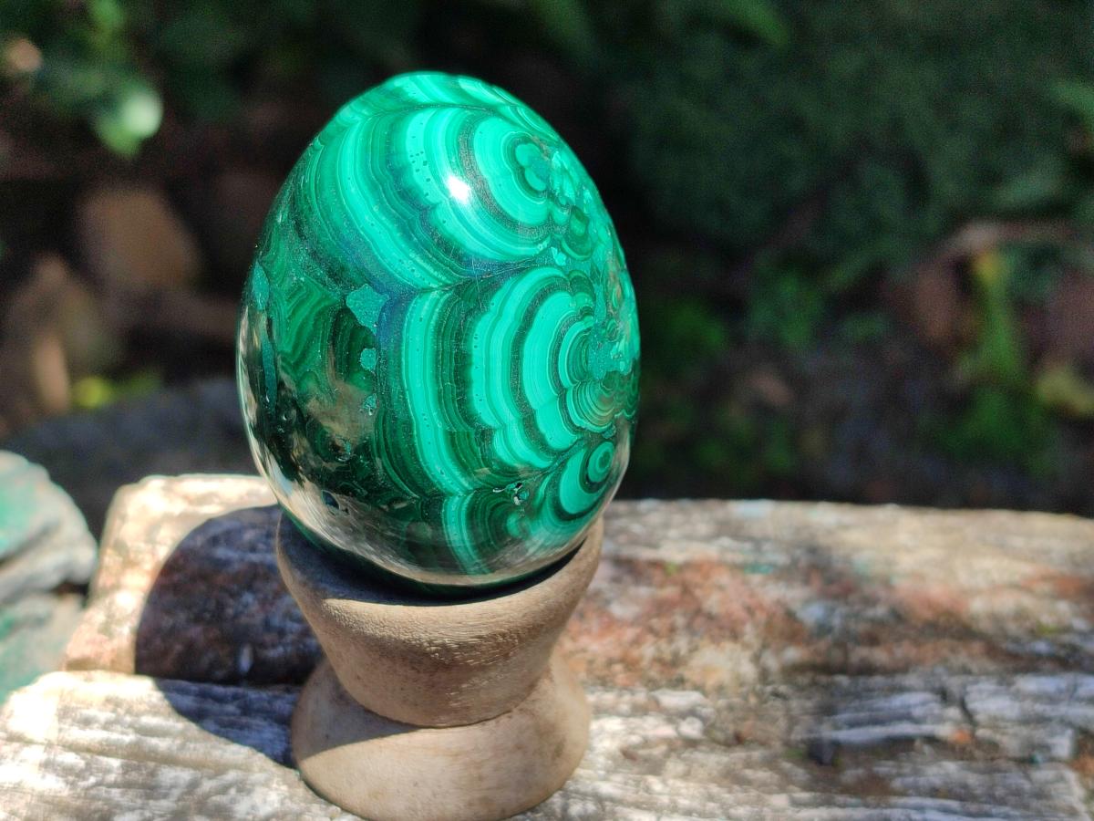 Polished Flower Banded Malachite Egg x 1 From Congo