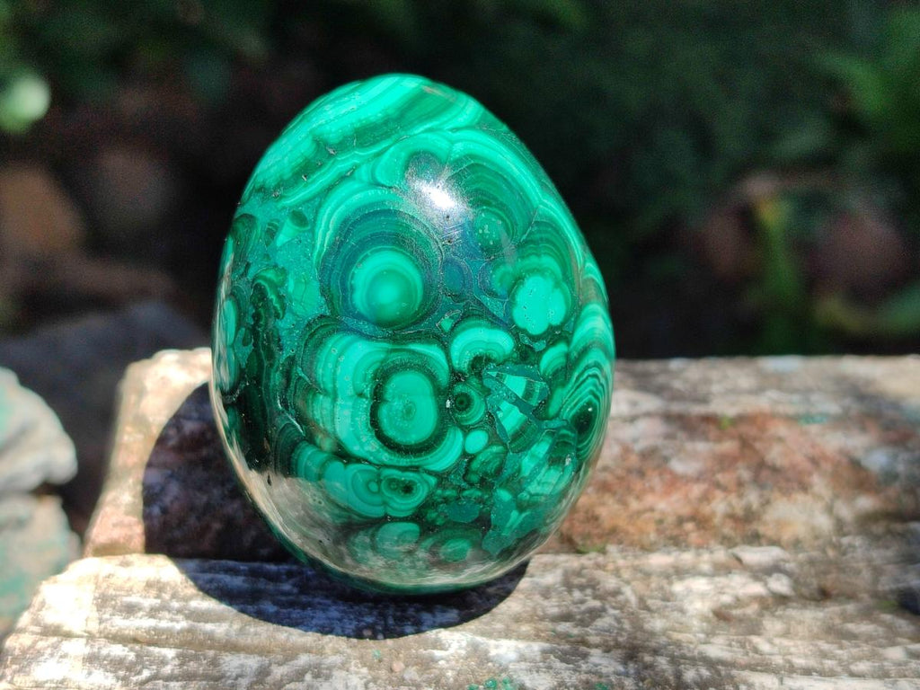 Polished Flower Banded Malachite Egg x 1 From Congo