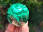 Polished Flower Banded Malachite Egg x 1 From Congo