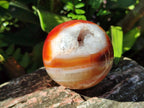 Polished Banded Carnelian Gemstone Sphere x 1 From Madagascar