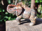 Polished Pair of Snakeskin Jasper and Blue Tigers Eye Elephant Gemstone Carvings x 1 From Africa and Australia
