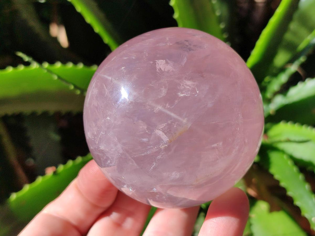 Polished Gemmy Star Rose Quartz Sphere x 1 From Ambatondrazaka, Madagascar