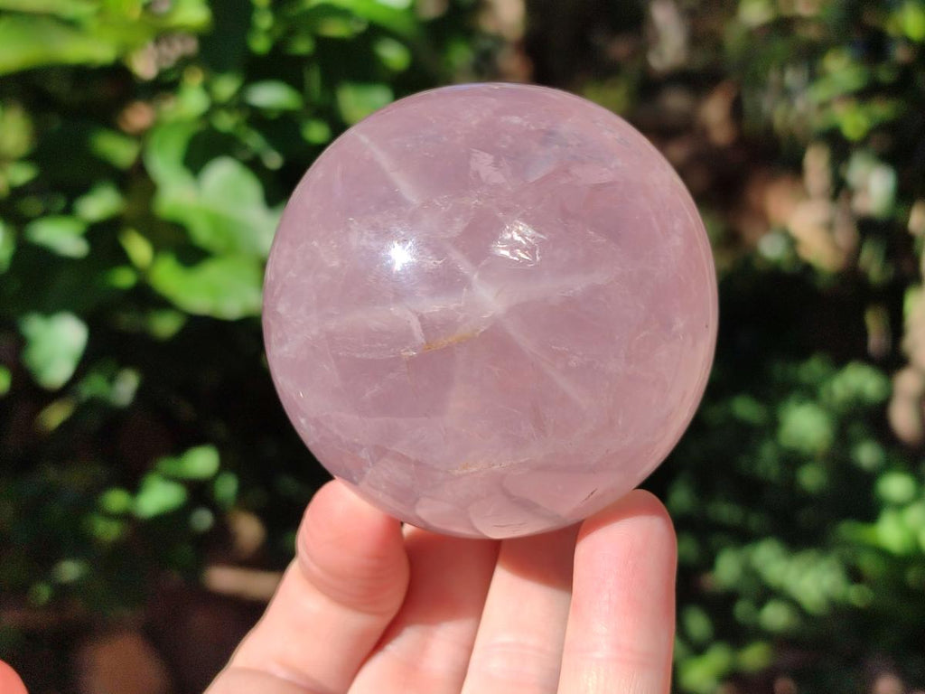 Polished Gemmy Star Rose Quartz Sphere x 1 From Ambatondrazaka, Madagascar