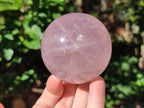 Polished Gemmy Star Rose Quartz Sphere x 1 From Ambatondrazaka, Madagascar