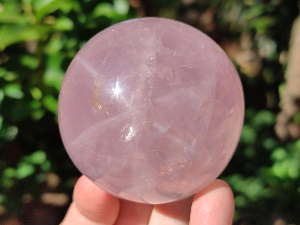 Polished Gemmy Star Rose Quartz Sphere x 1 From Ambatondrazaka, Madagascar