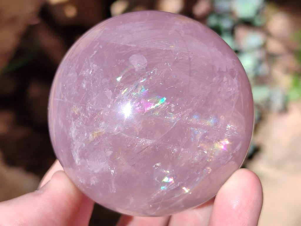 Polished Gemmy Star Rose Quartz Sphere x 1 From Ambatondrazaka, Madagascar