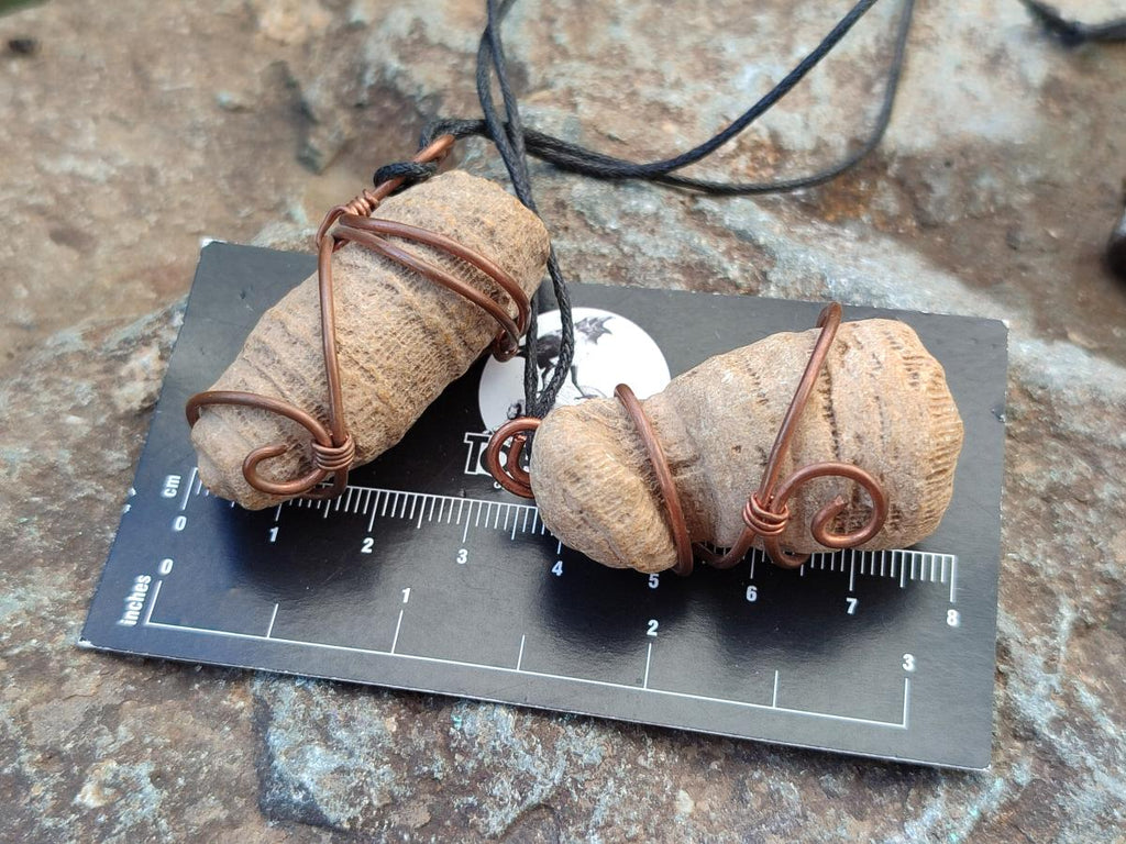 Hand Made Fossilized Coral Finger in Copper Wire Wrap Necklace - Sold Per Piece -  From Madagascar