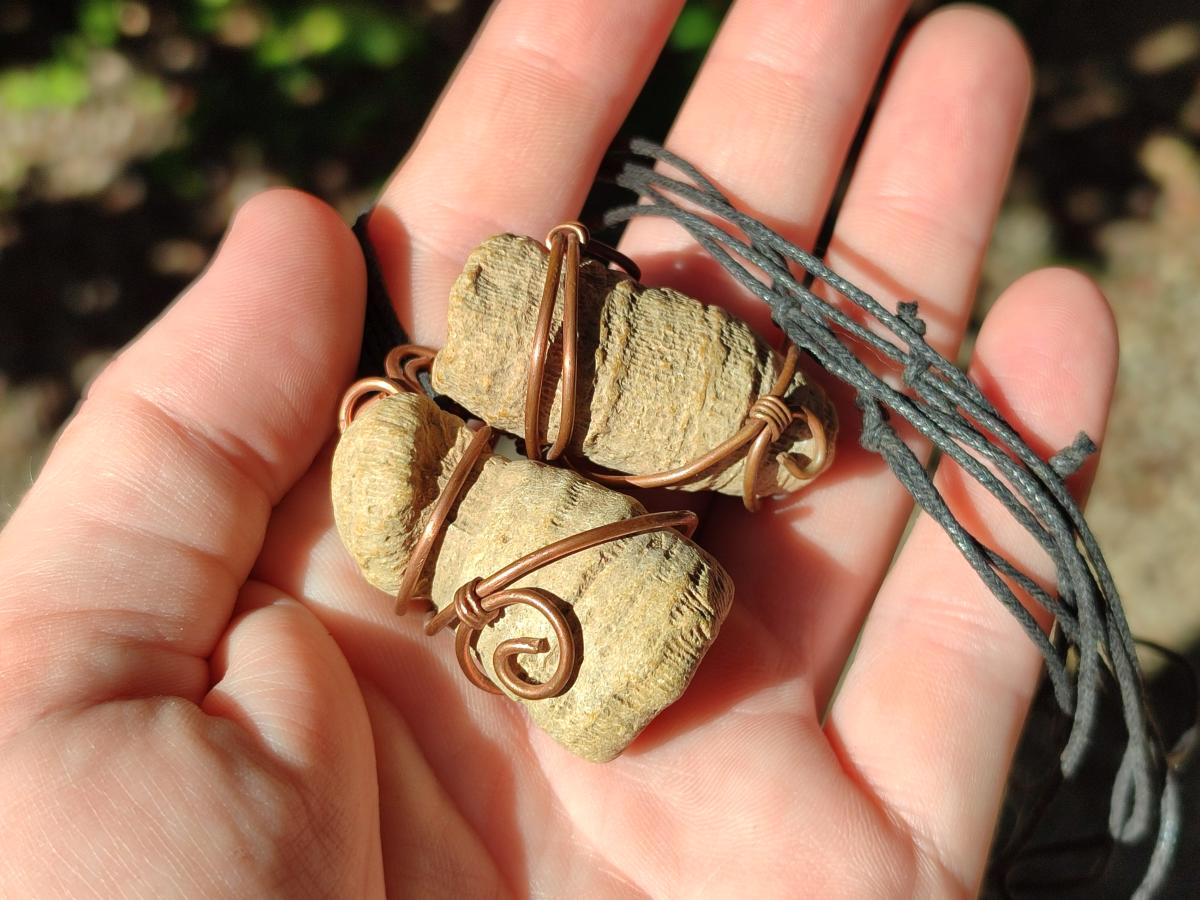 Hand Made Fossilized Coral Finger in Copper Wire Wrap Necklace - Sold Per Piece -  From Madagascar