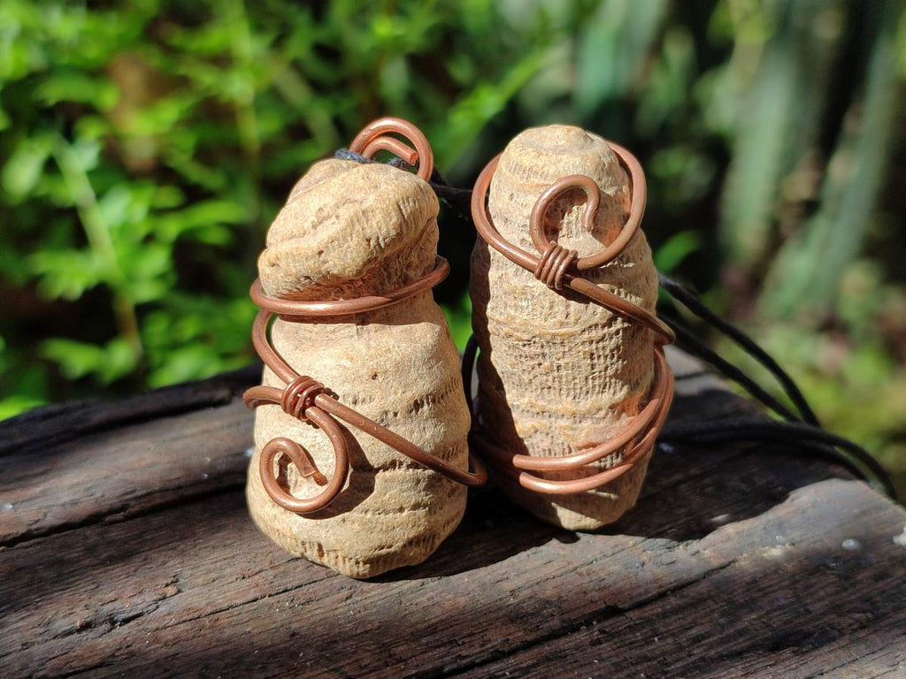 Hand Made Fossilized Coral Finger in Copper Wire Wrap Necklace - Sold Per Piece -  From Madagascar