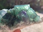 Natural Cubic Green Fluorite Specimen x 1 From Mandrosonoro Madagascar