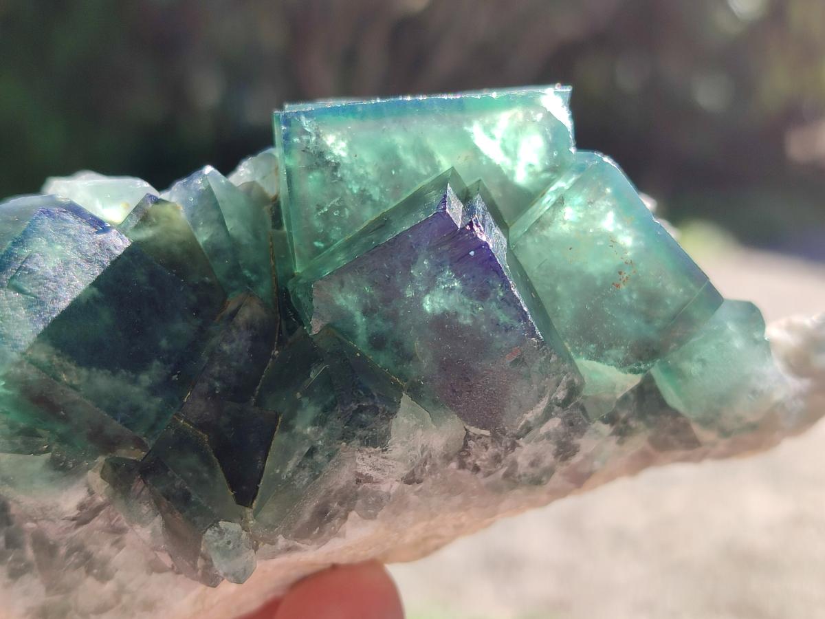 Natural Cubic Green Fluorite Specimen x 1 From Mandrosonoro Madagascar