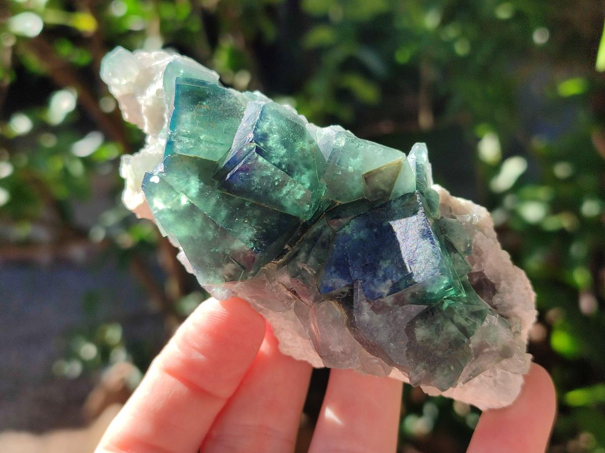 Natural Cubic Green Fluorite Specimen x 1 From Mandrosonoro Madagascar
