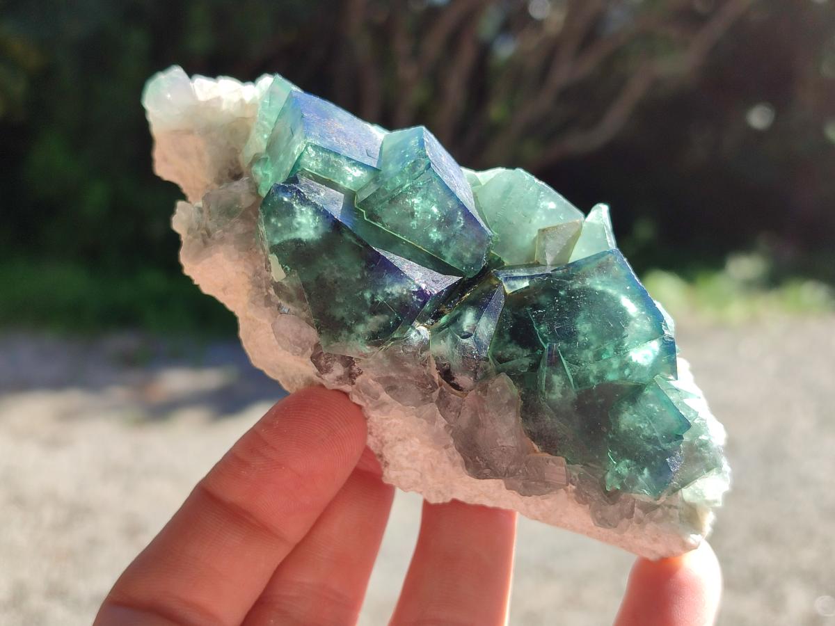 Natural Cubic Green Fluorite Specimen x 1 From Mandrosonoro Madagascar