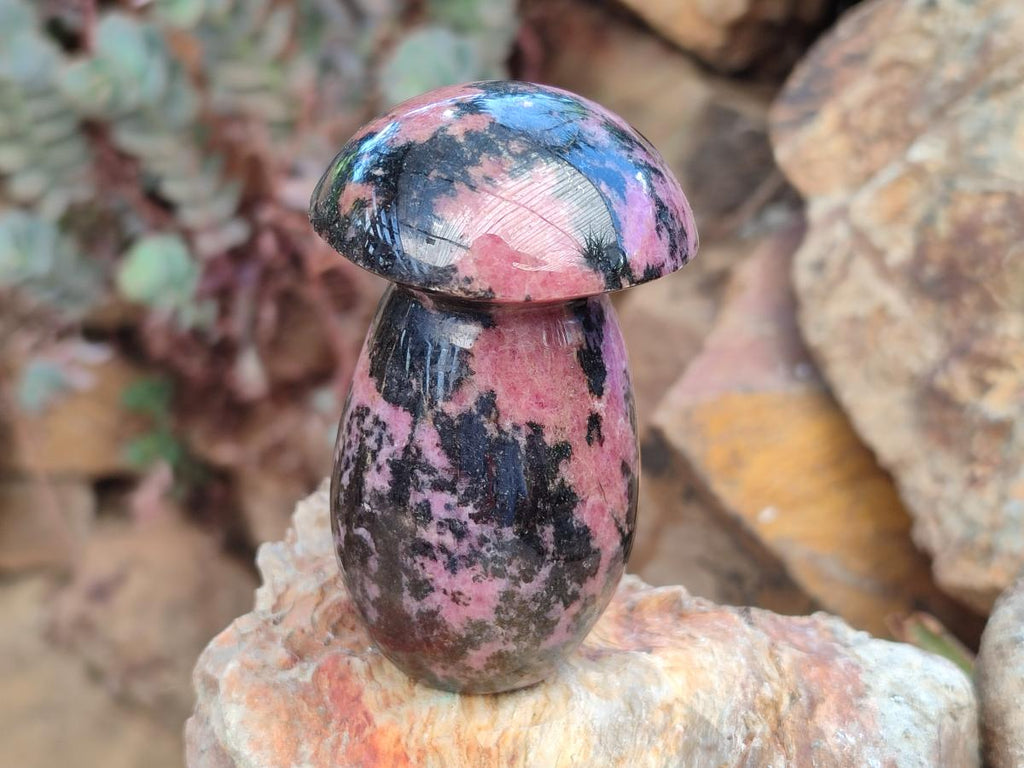 Polished Rhodonite Gemstone Mushroom x 1 From Madagascar