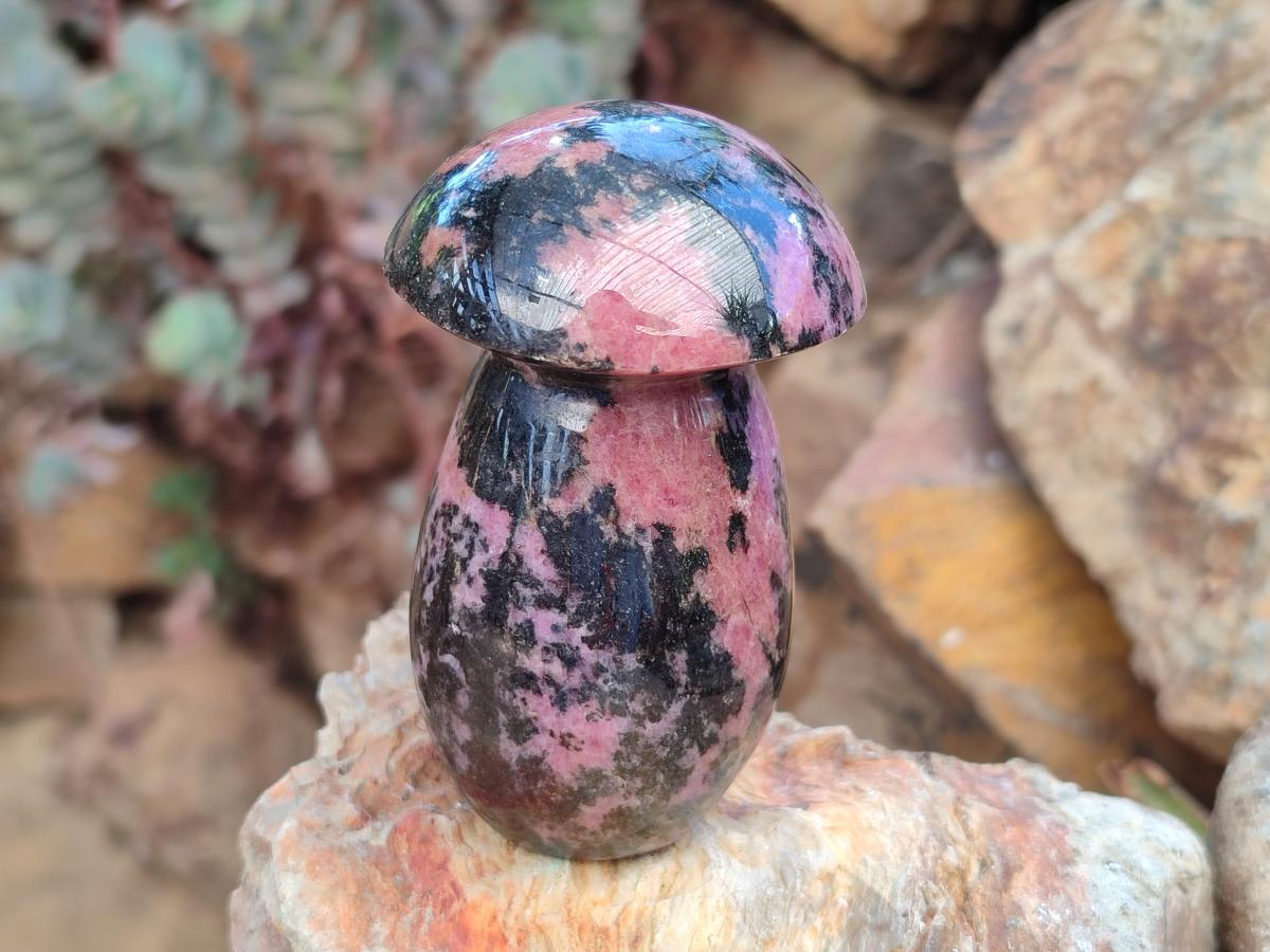 Polished Rhodonite Gemstone Mushroom x 1 From Madagascar