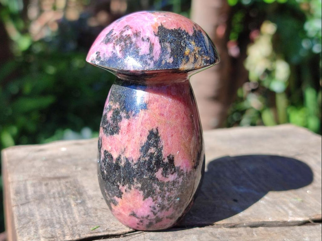 Polished Rhodonite Gemstone Mushroom x 1 From Madagascar