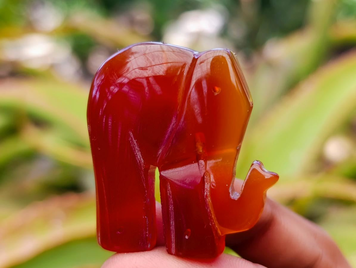 Polished Carnelian Agate Elephant Fridge Magnet - Sold Per Item - From Madagascar