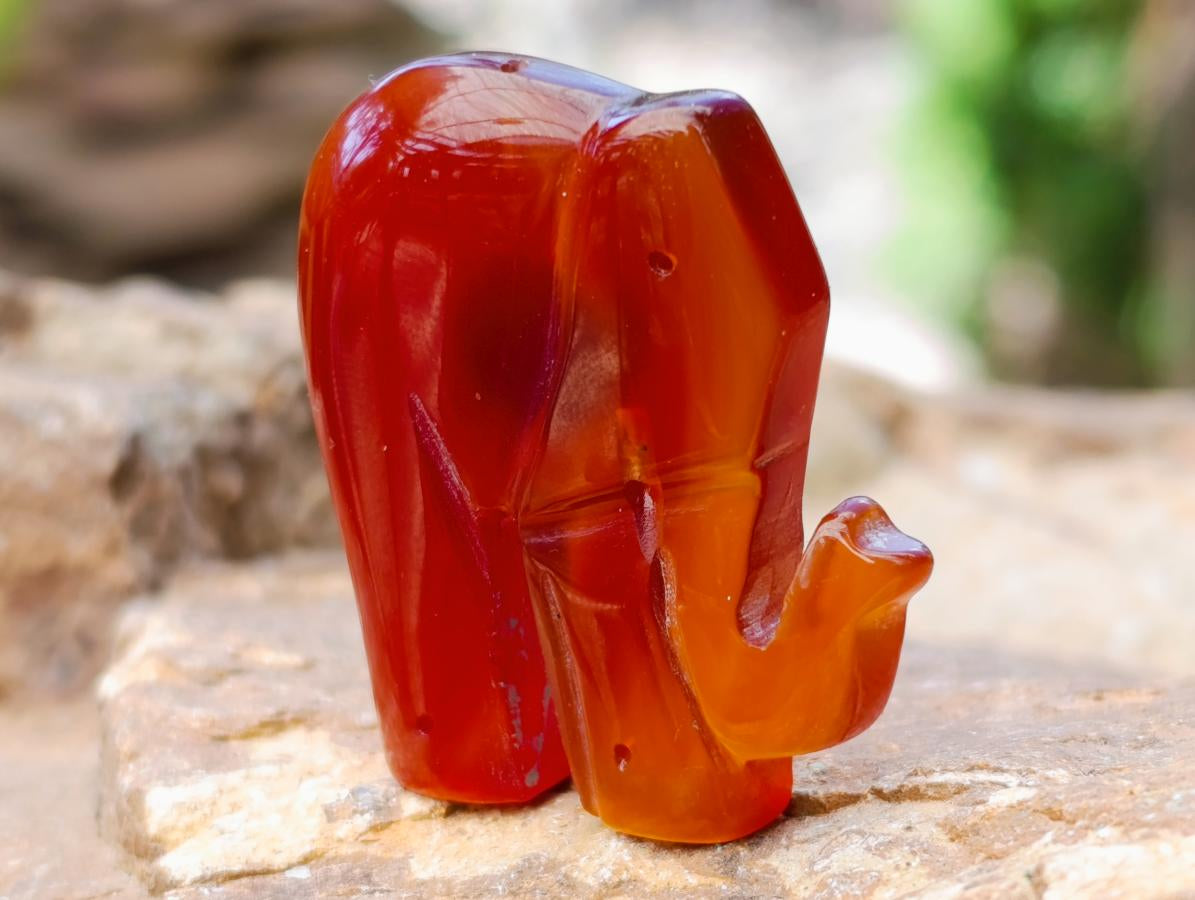 Polished Carnelian Agate Elephant Fridge Magnet - Sold Per Item - From Madagascar