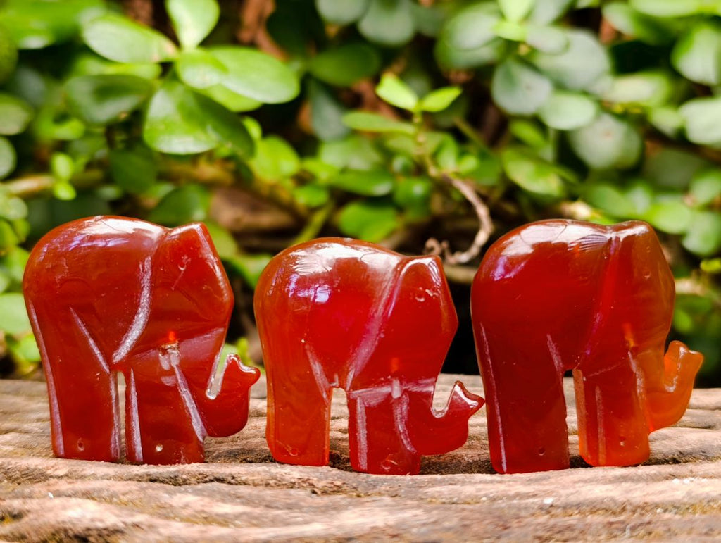 Polished Carnelian Agate Elephant Fridge Magnet - Sold Per Item - From Madagascar