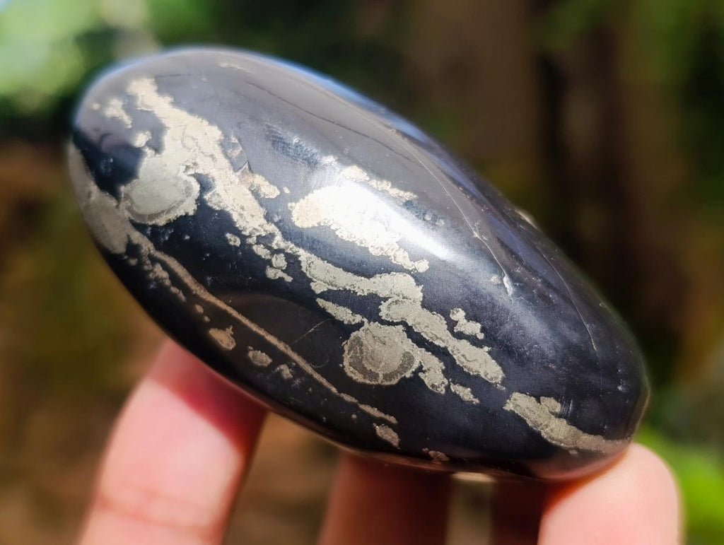 Polished Pair of "Pharaoh Stone" Palm Stones x 1 From Iron Duke Mine, Zimbabwe