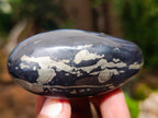 Polished Pair of "Pharaoh Stone" Palm Stones x 1 From Iron Duke Mine, Zimbabwe