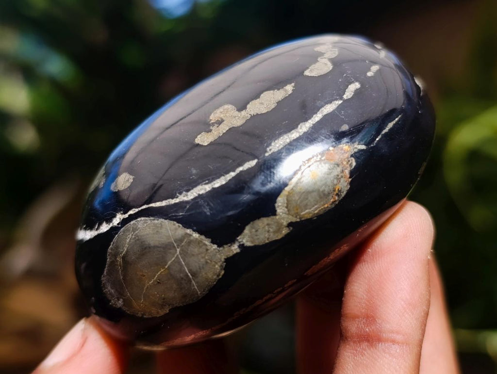 Polished Pair of "Pharaoh Stone" Palm Stones x 1 From Iron Duke Mine, Zimbabwe