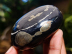 Polished Pair of "Pharaoh Stone" Palm Stones x 1 From Iron Duke Mine, Zimbabwe