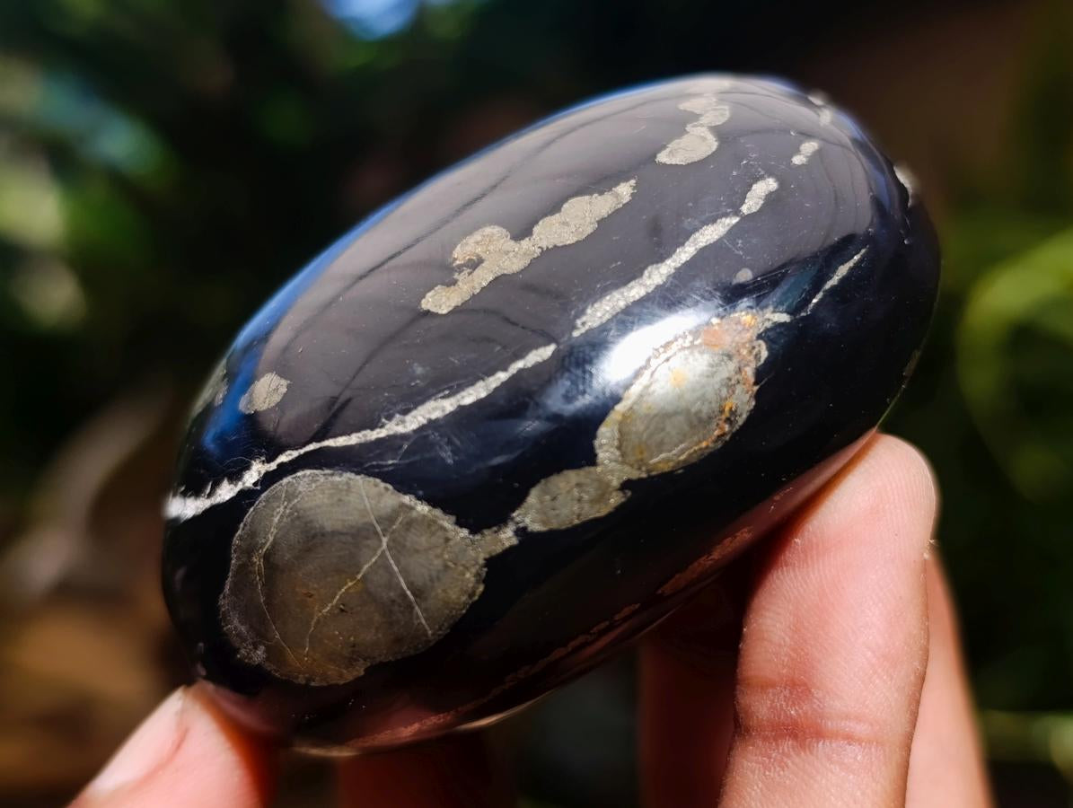 Polished Pair of "Pharaoh Stone" Palm Stones x 1 From Iron Duke Mine, Zimbabwe