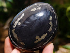 Polished Pair of "Pharaoh Stone" Palm Stones x 1 From Iron Duke Mine, Zimbabwe