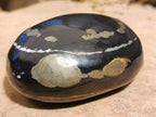 Polished Pair of "Pharaoh Stone" Palm Stones x 1 From Iron Duke Mine, Zimbabwe