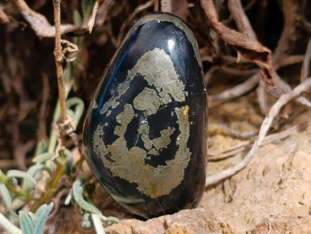 Polished Pair of "Pharaoh Stone" Palm Stones x 1 From Iron Duke Mine, Zimbabwe