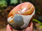 Polished Polychrome Jasper Egg x 1 From Madagascar