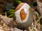 Polished Polychrome Jasper Egg x 1 From Madagascar