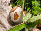 Polished Polychrome Jasper Egg x 1 From Madagascar